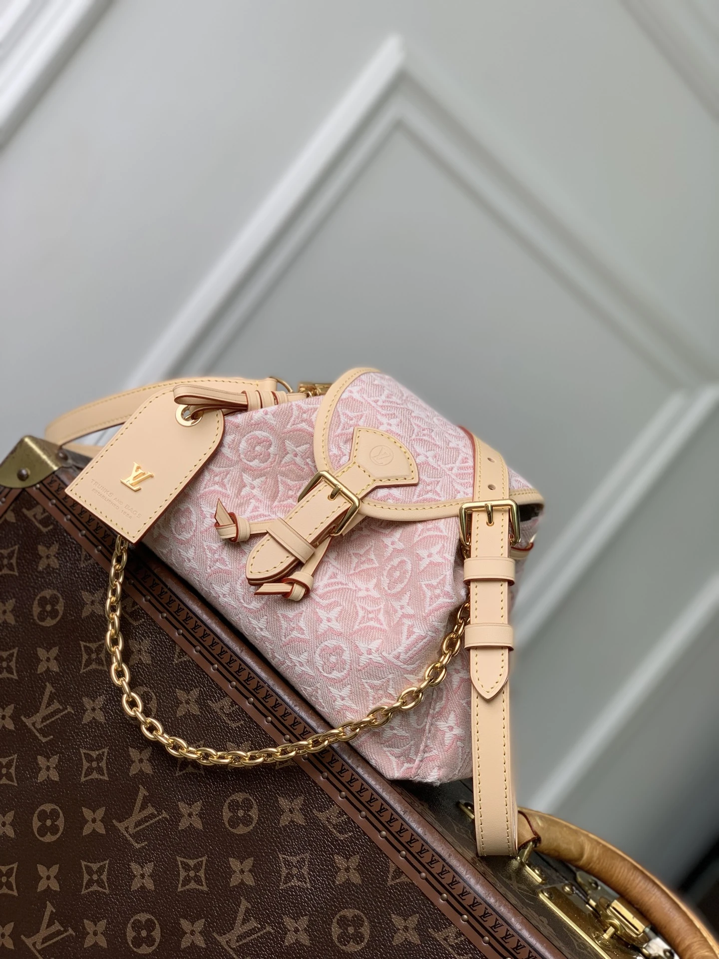 Louis Vuitton Bag — c8ae9884