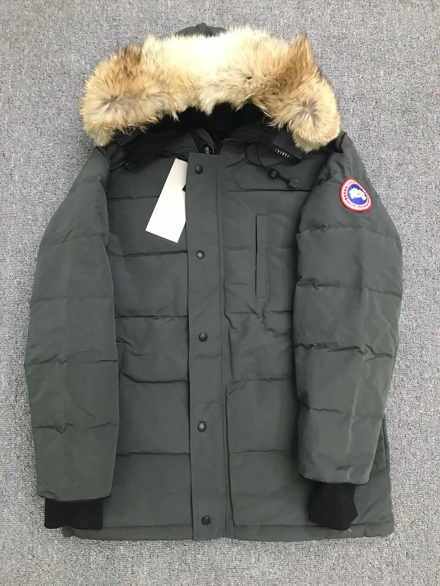 Canada Goose Down Jacket — 70d31703