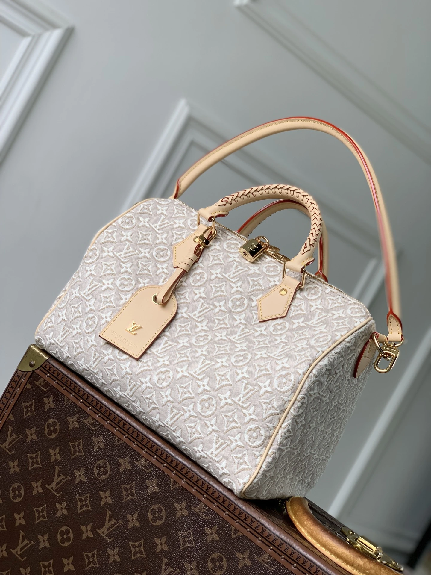 Louis Vuitton Bag — 5b95e690