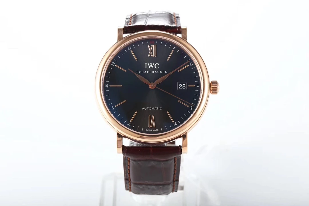 IWC Watch — aa58d604