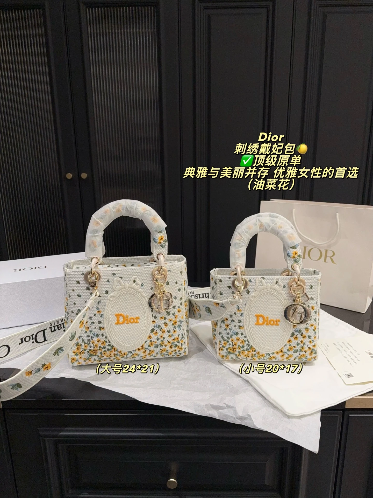 Dior Bag — e84ab457