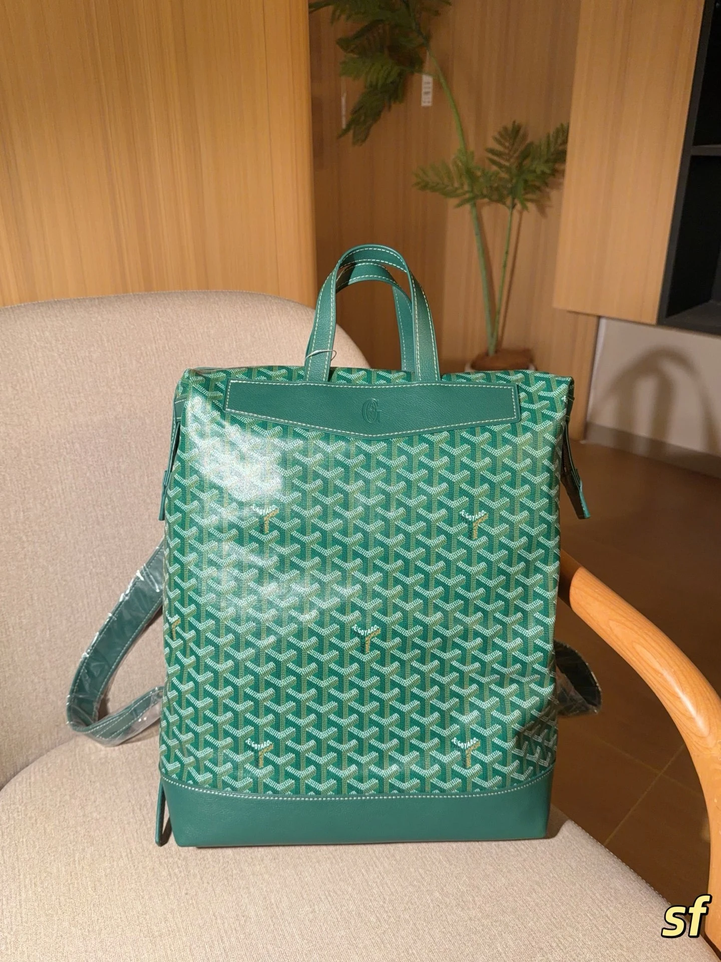 Goyard Bag — a80fbd19