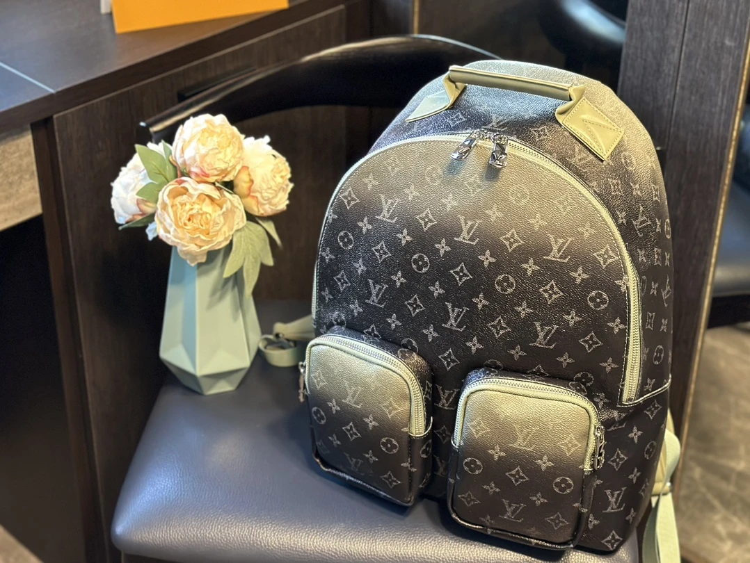 Louis Vuitton Bag — 96c11057