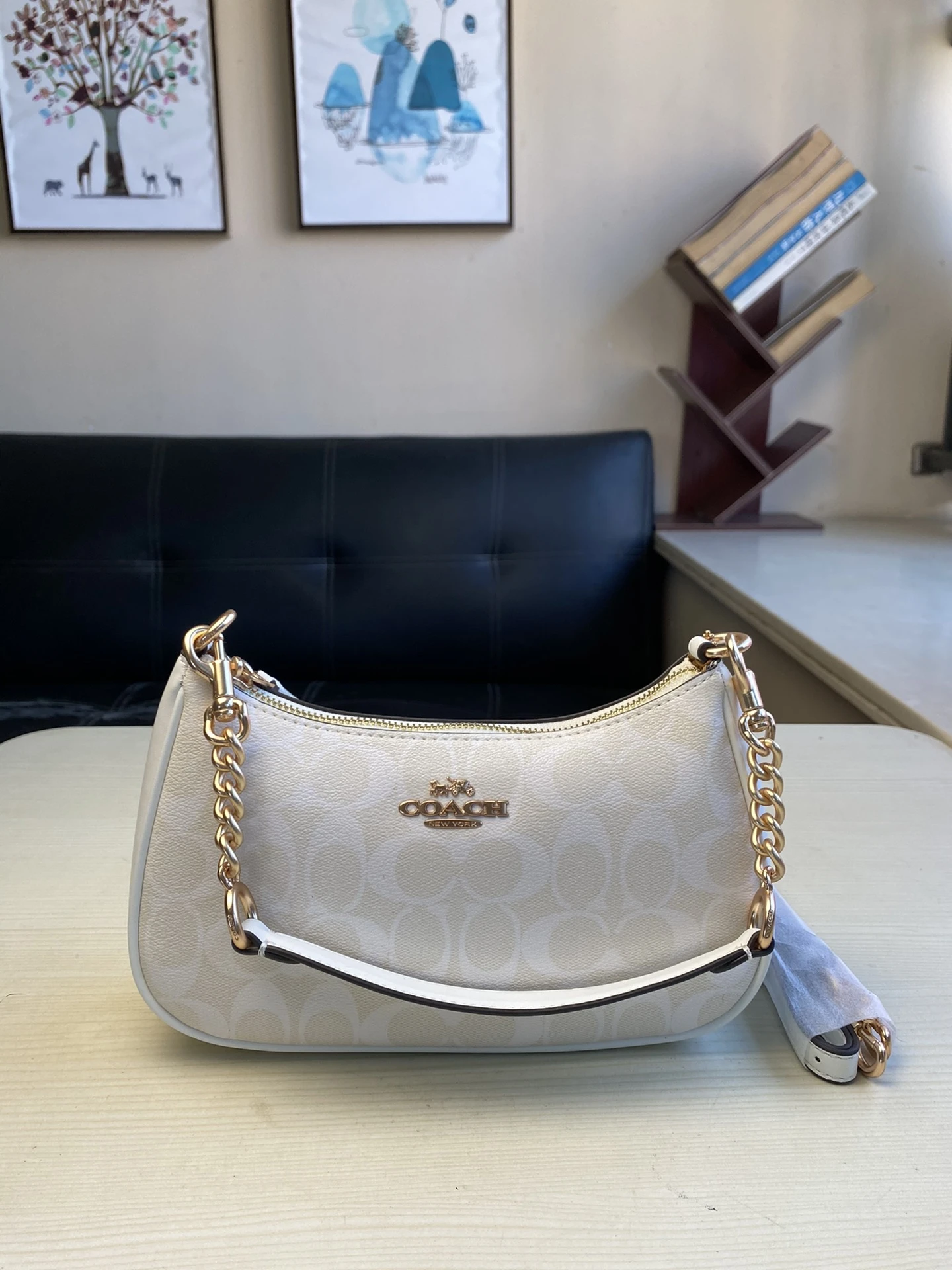 Coach Bag — a4db9cb2