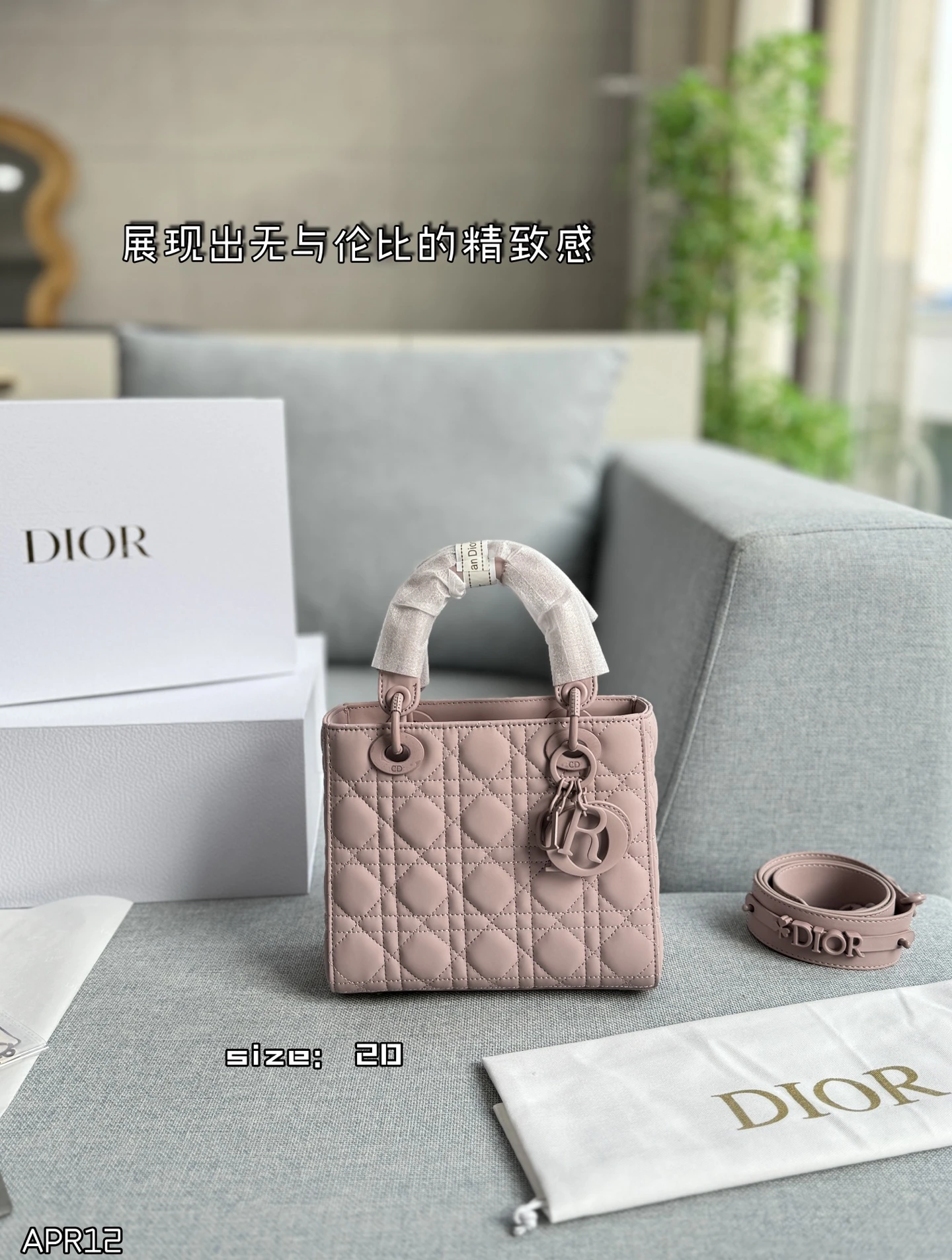 Dior Bag — 0dd6046c