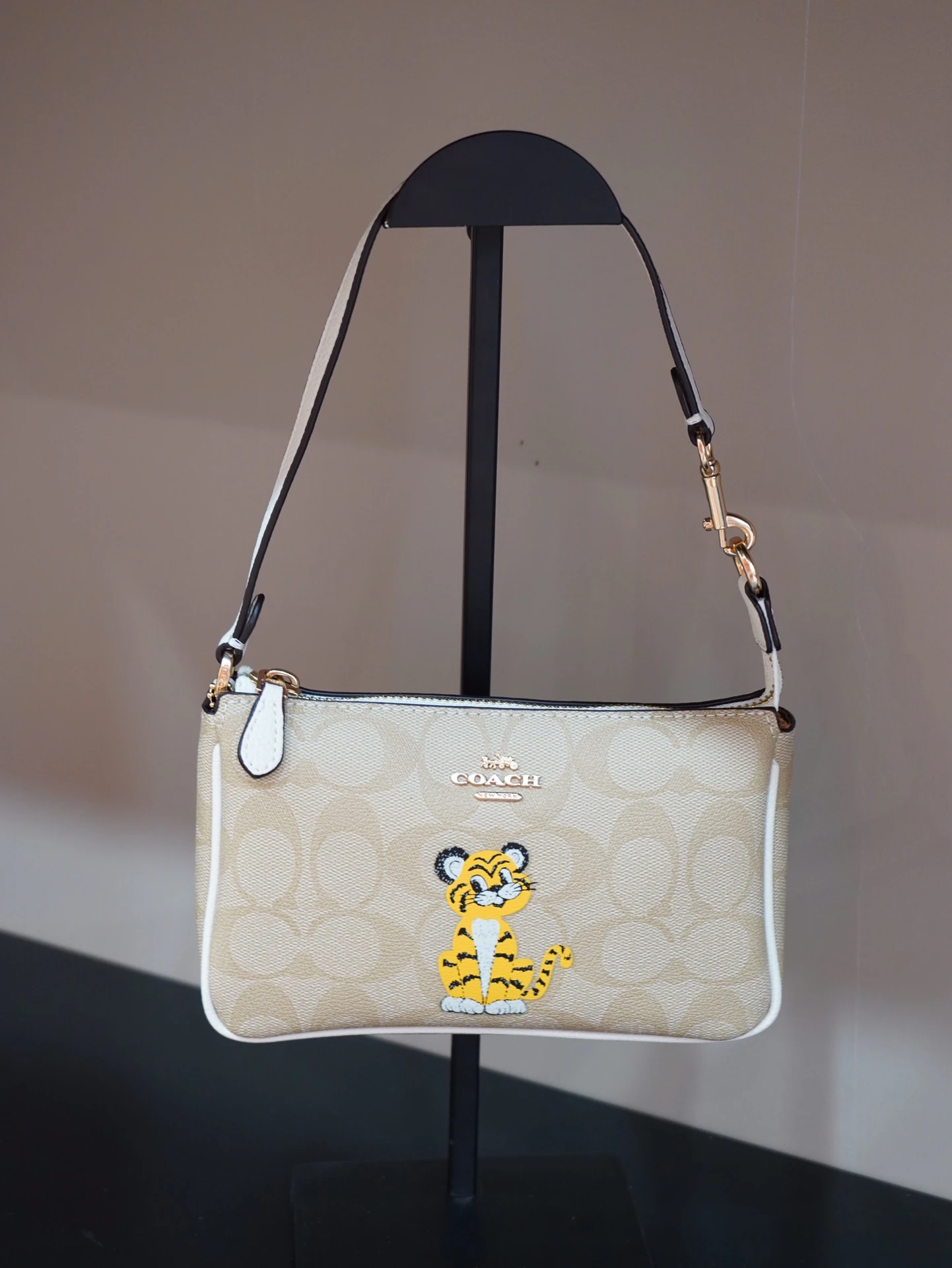 Coach Bag — cab6f4af