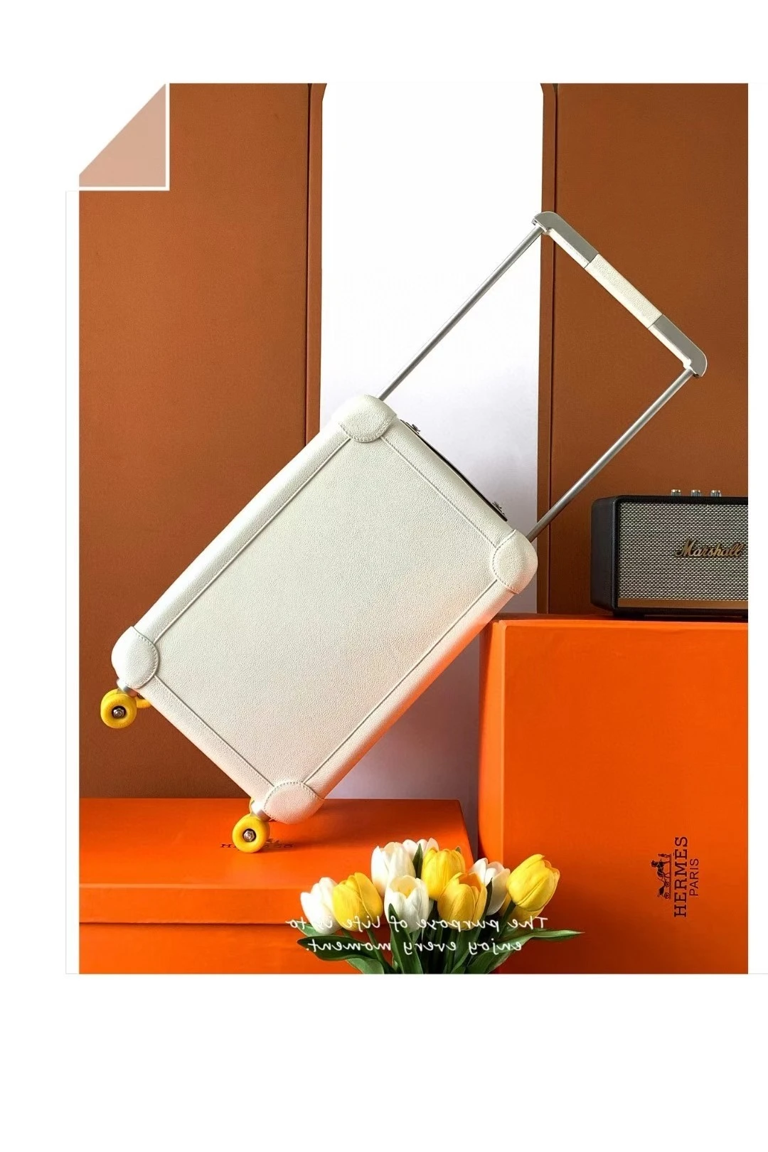 Luggage — 7dc3a599