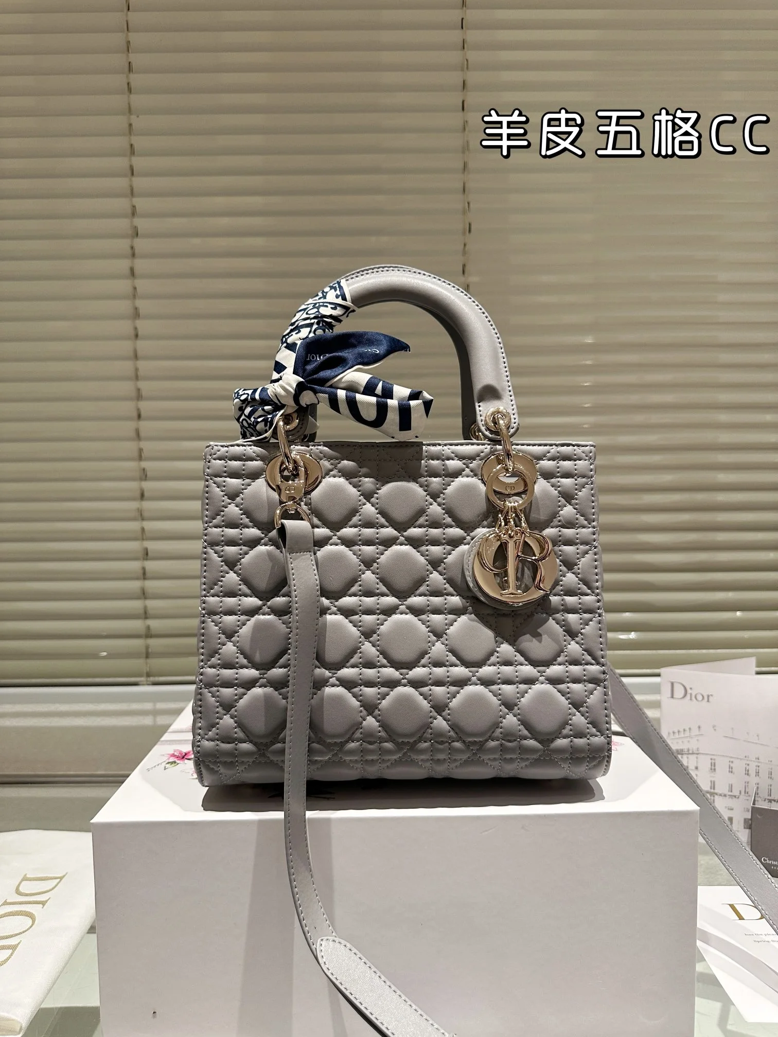Dior Bag — 32f05333