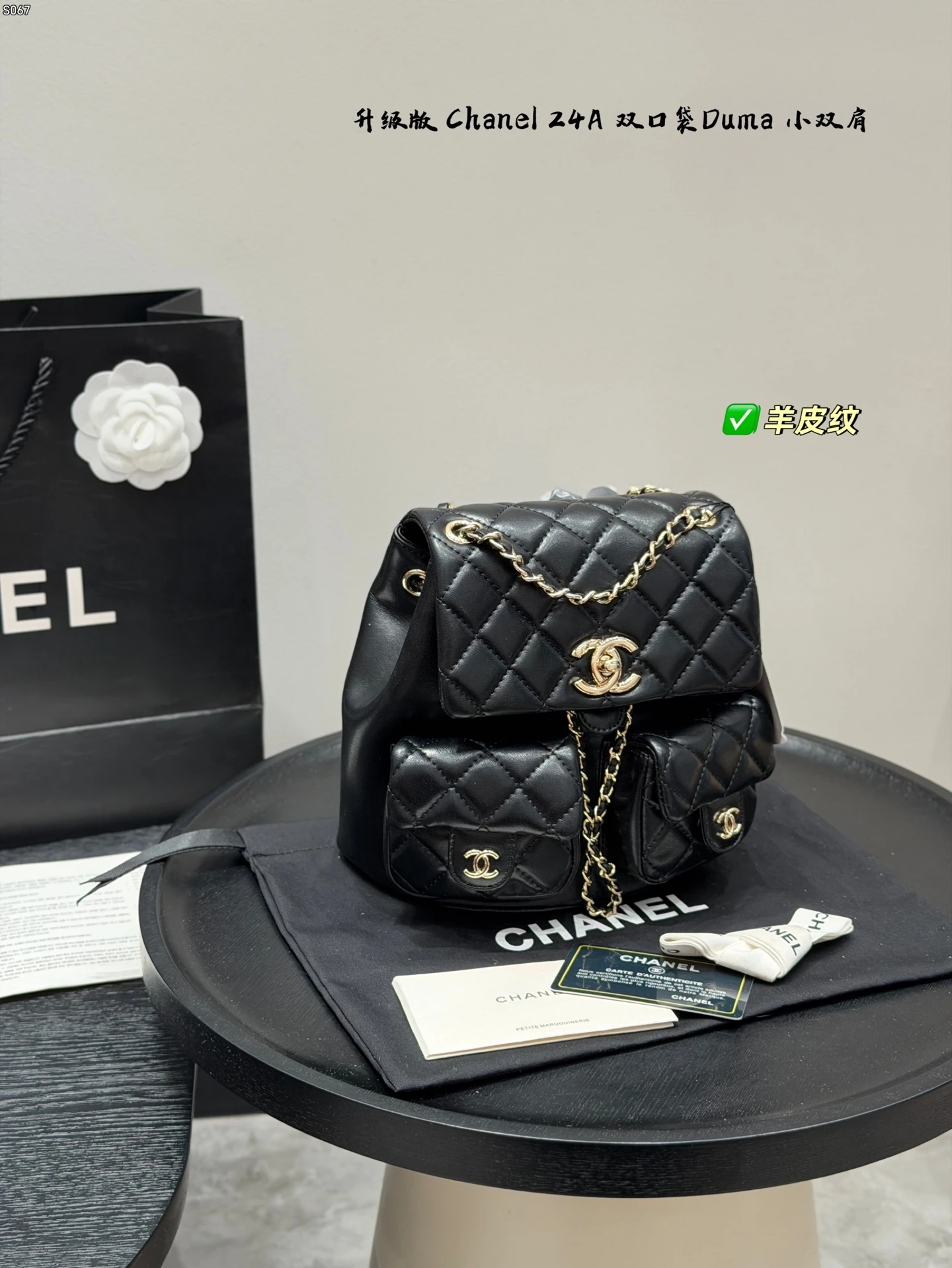 Chanel Bag — 4041e674