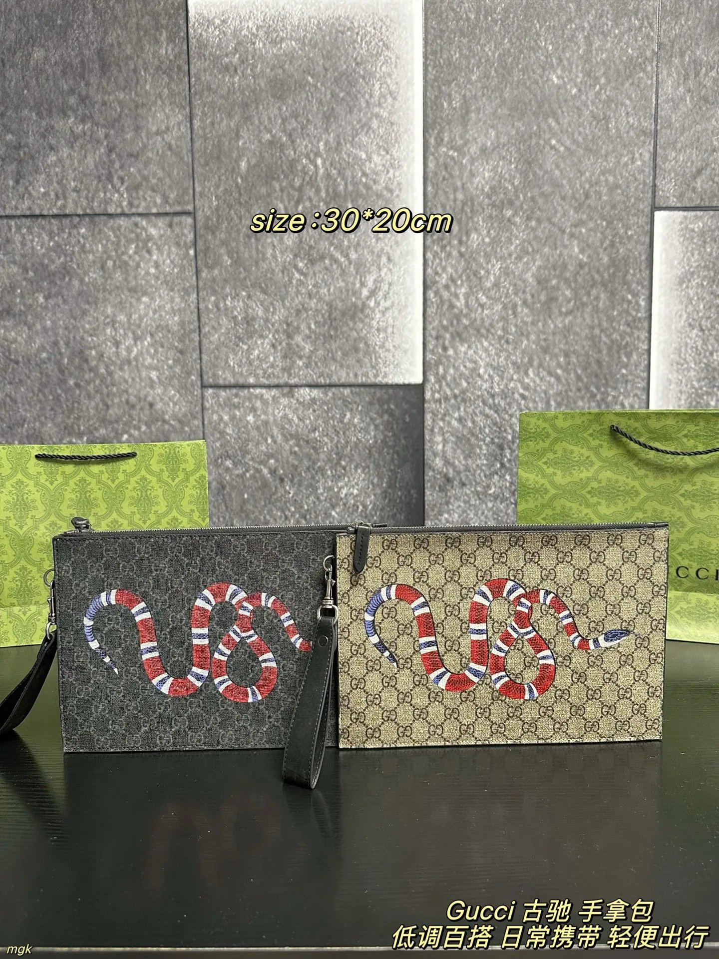 Gucci Bag — 21971218