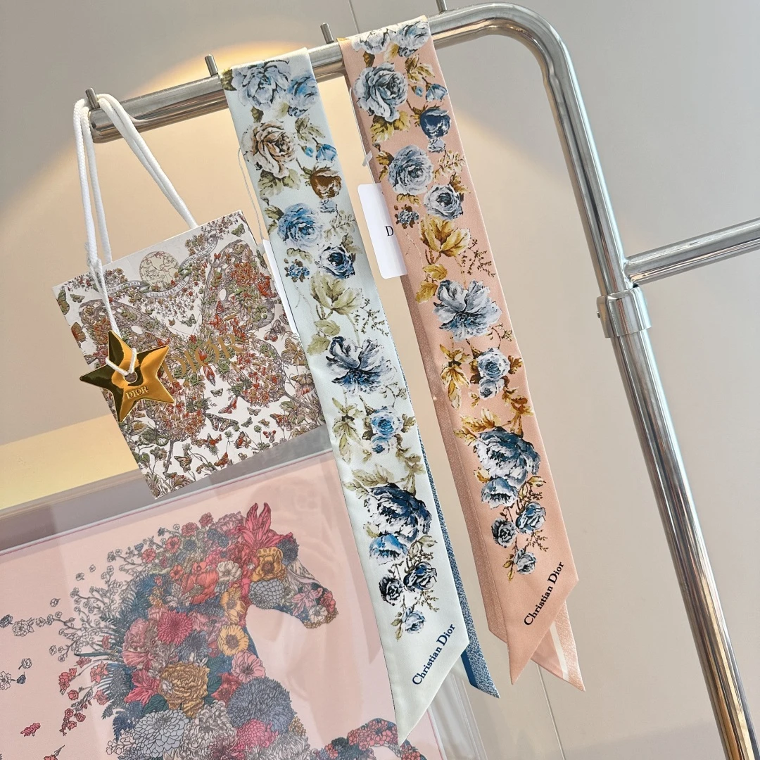Dior Ties — 097bdf08