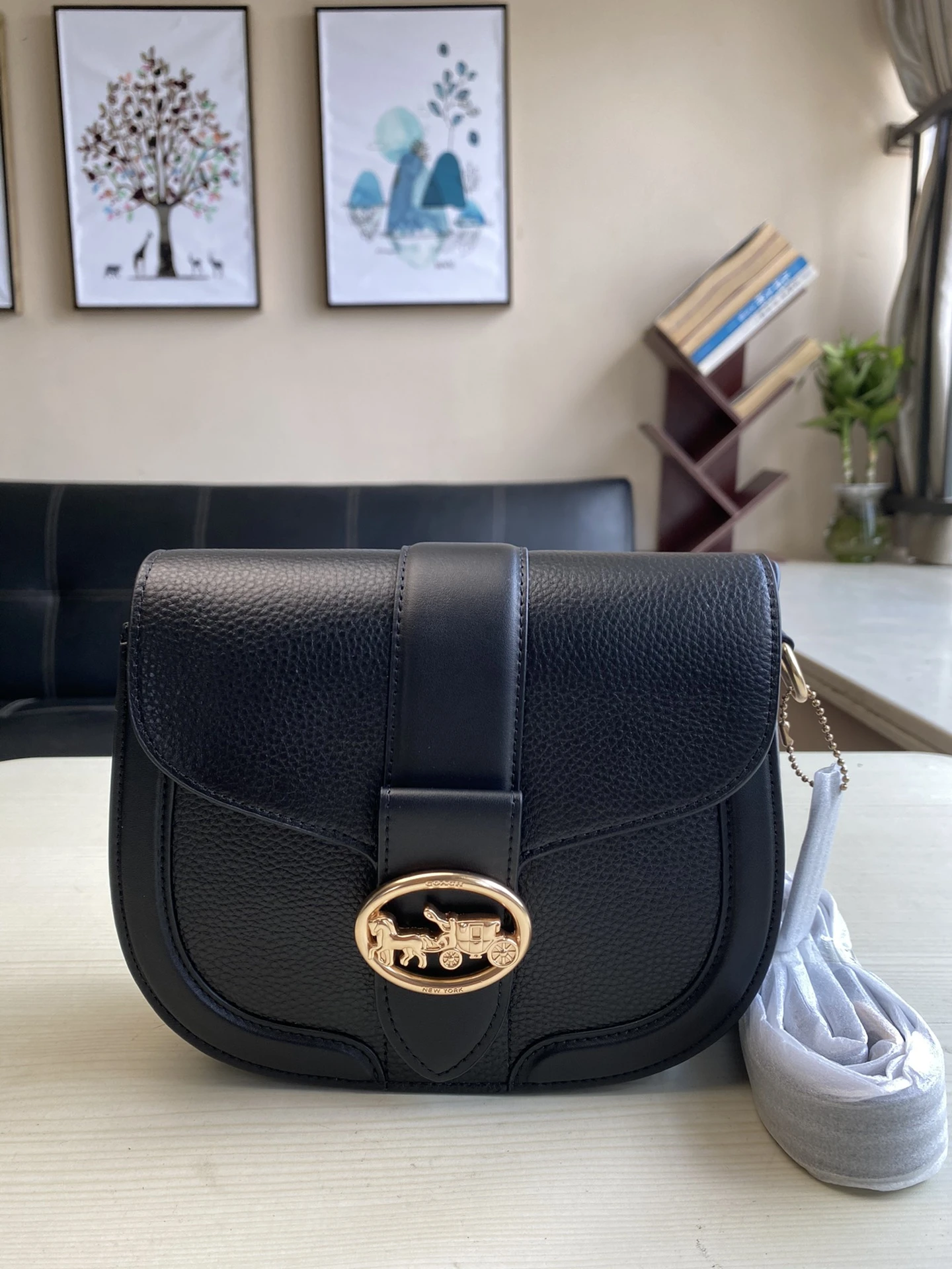 Coach Bag — c5d49f4b