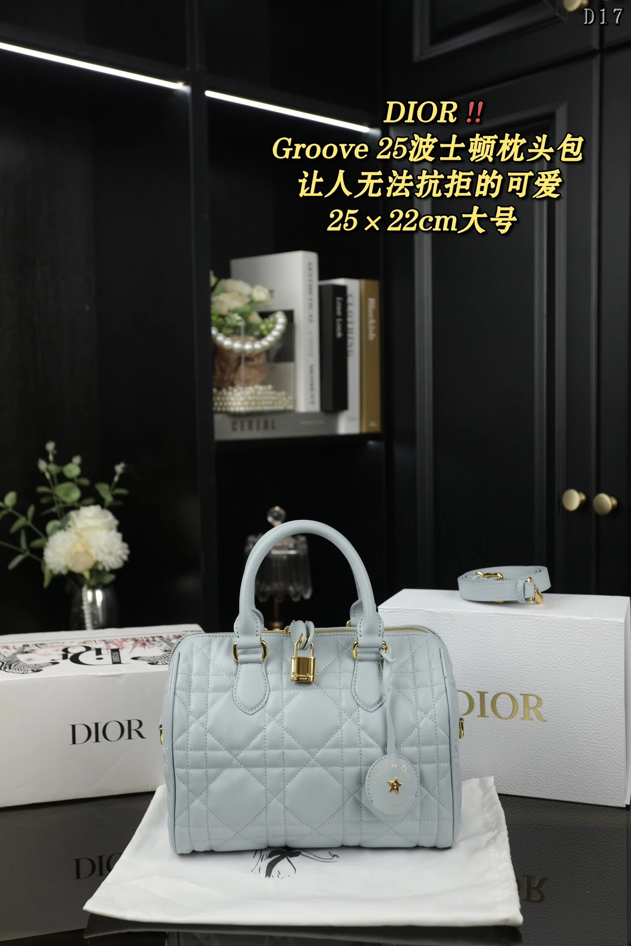 Dior Bag — bf37d017