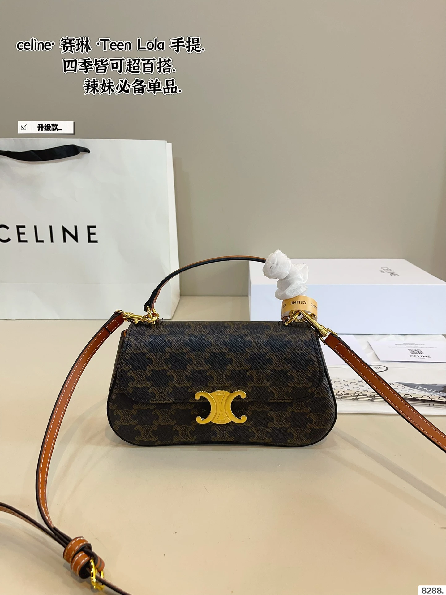 Celine Bag — b0c991ed