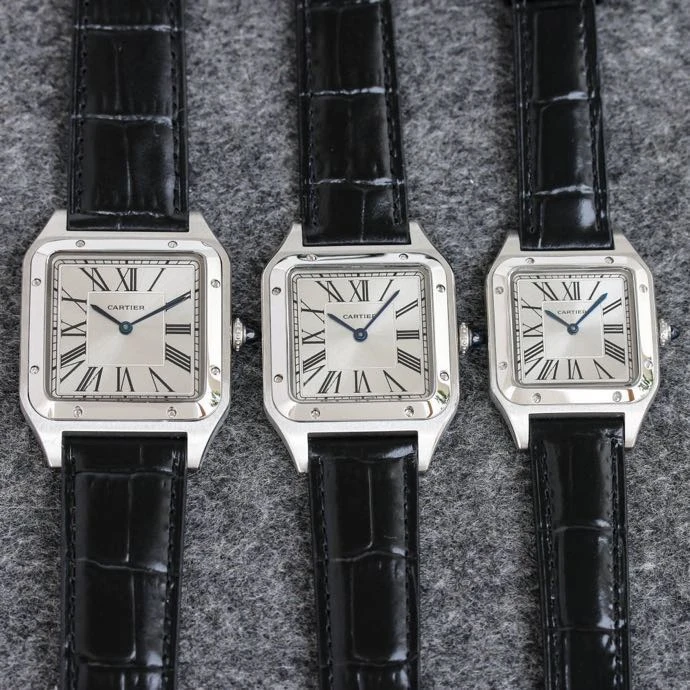 Cartier Watch — 01e8f8f5