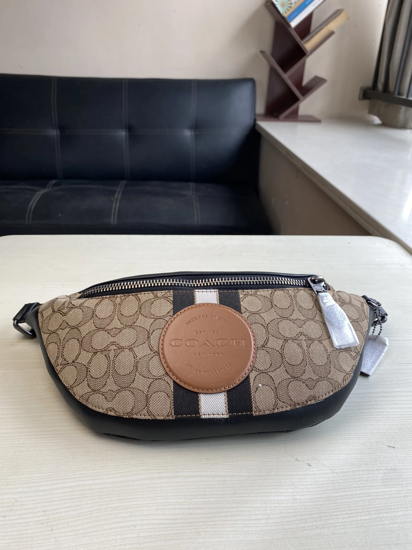 Coach Bag — aeea0289