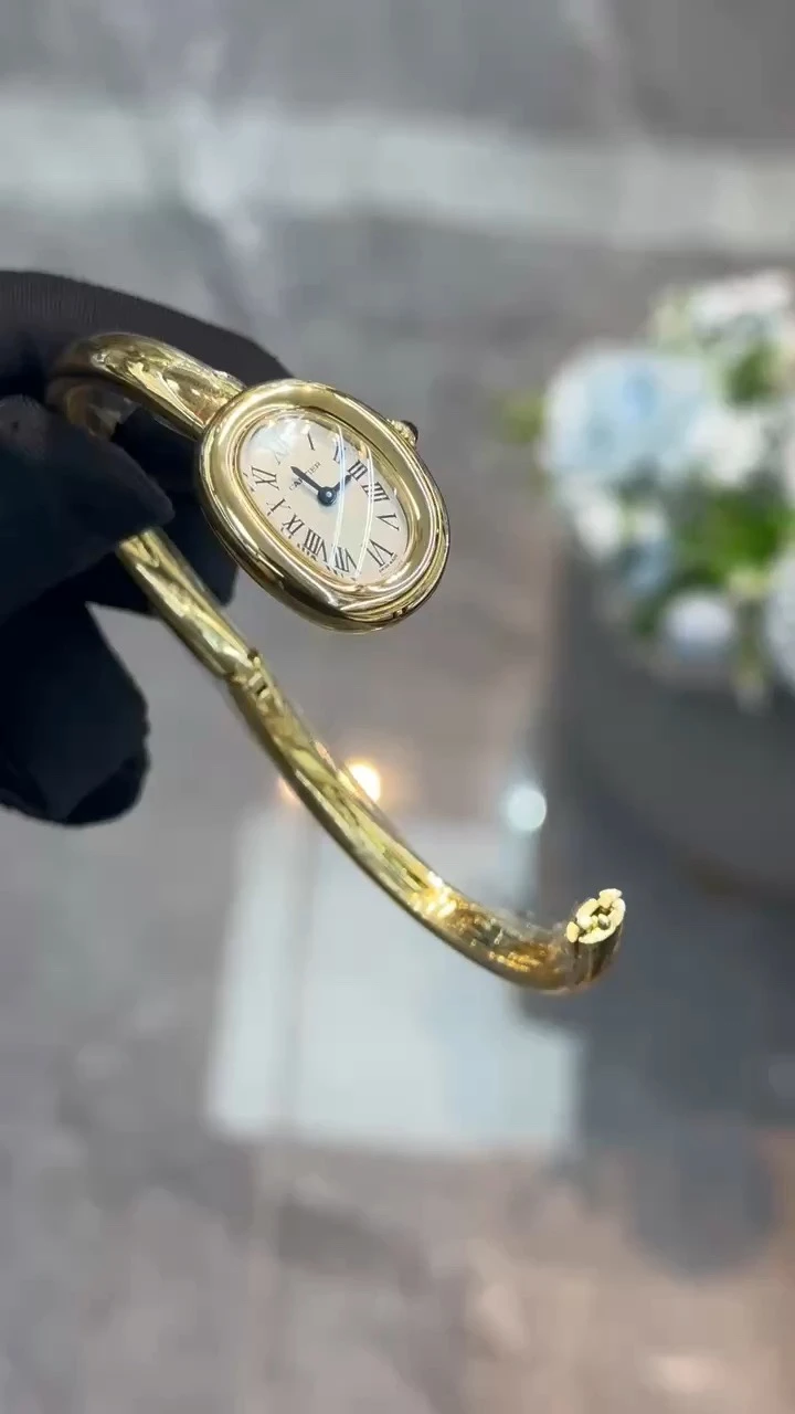 Cartier Watch — 24f3d454