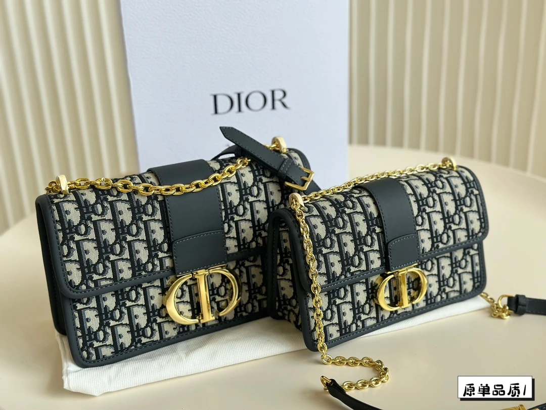 Dior Bag — a3c1209f
