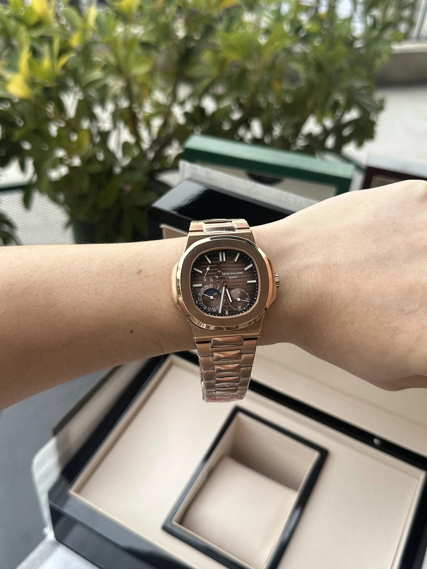 Patek Philippe Watch — 7a87dc99