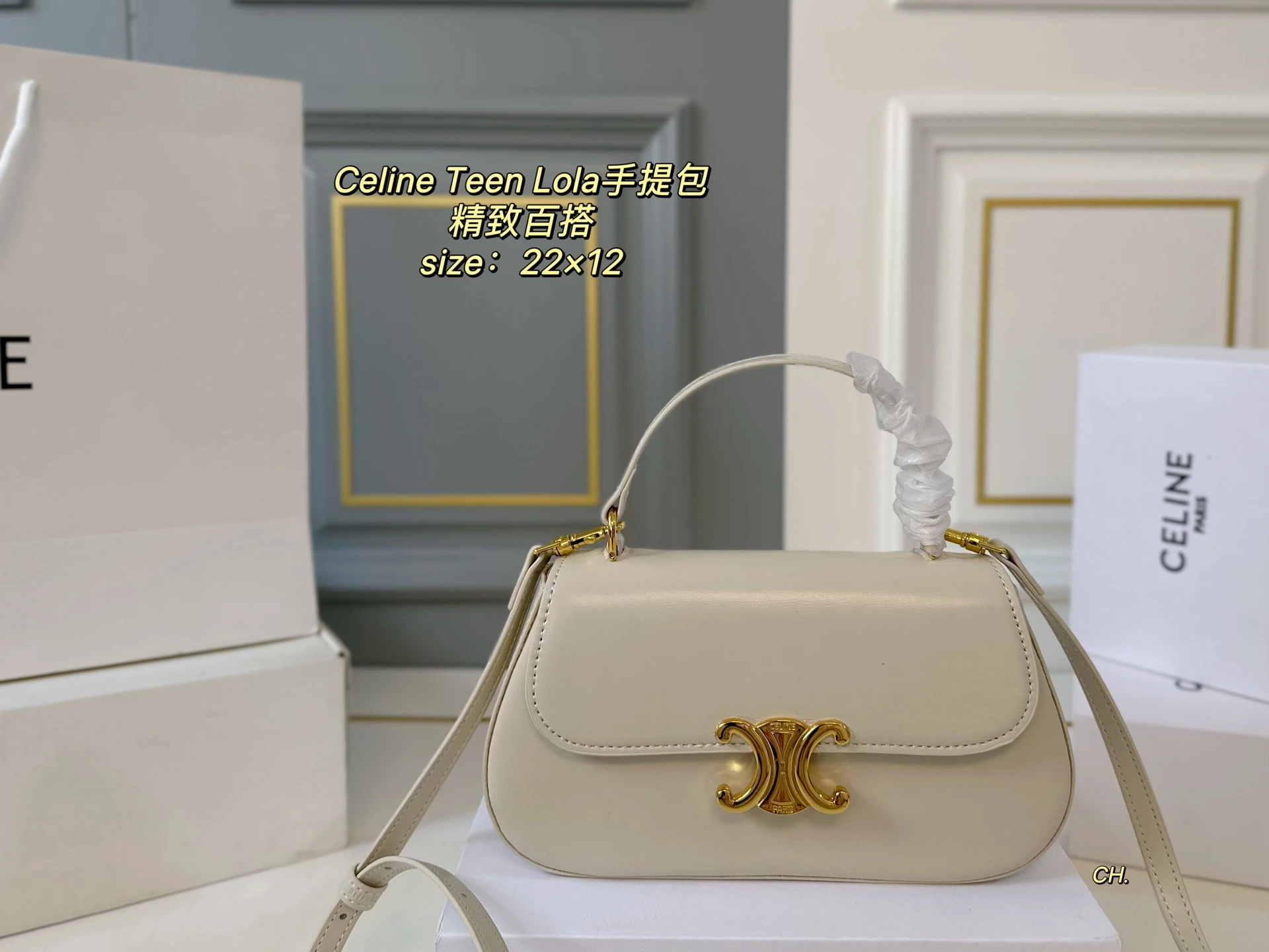 Celine Bag — c0a2b6a4