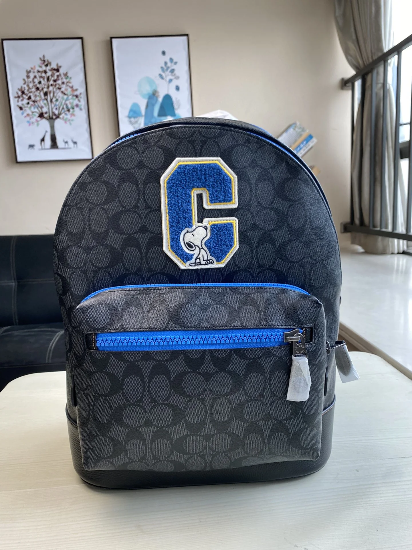Coach Bag — 97c5085c