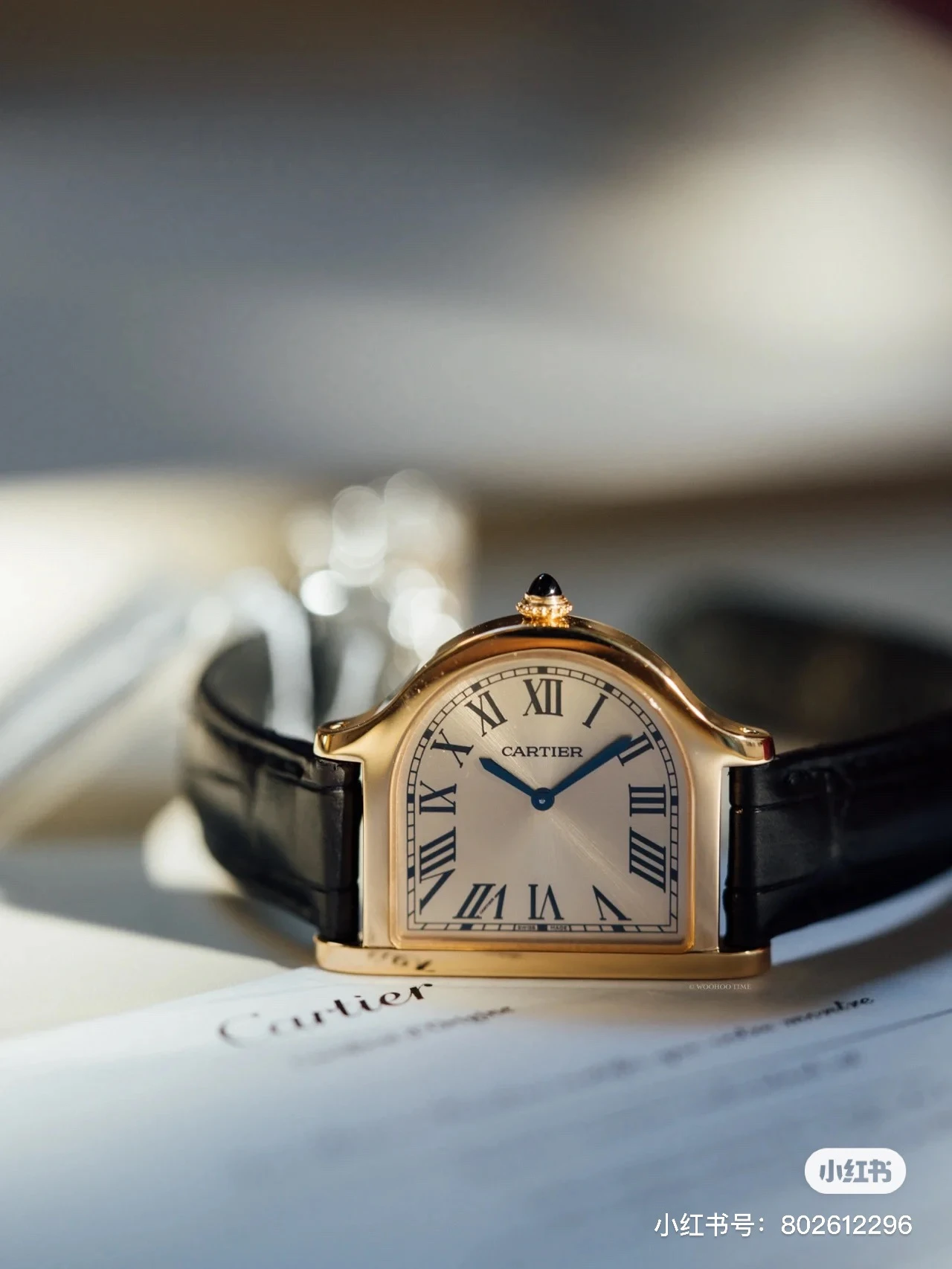 Cartier Watch — ae2487ea
