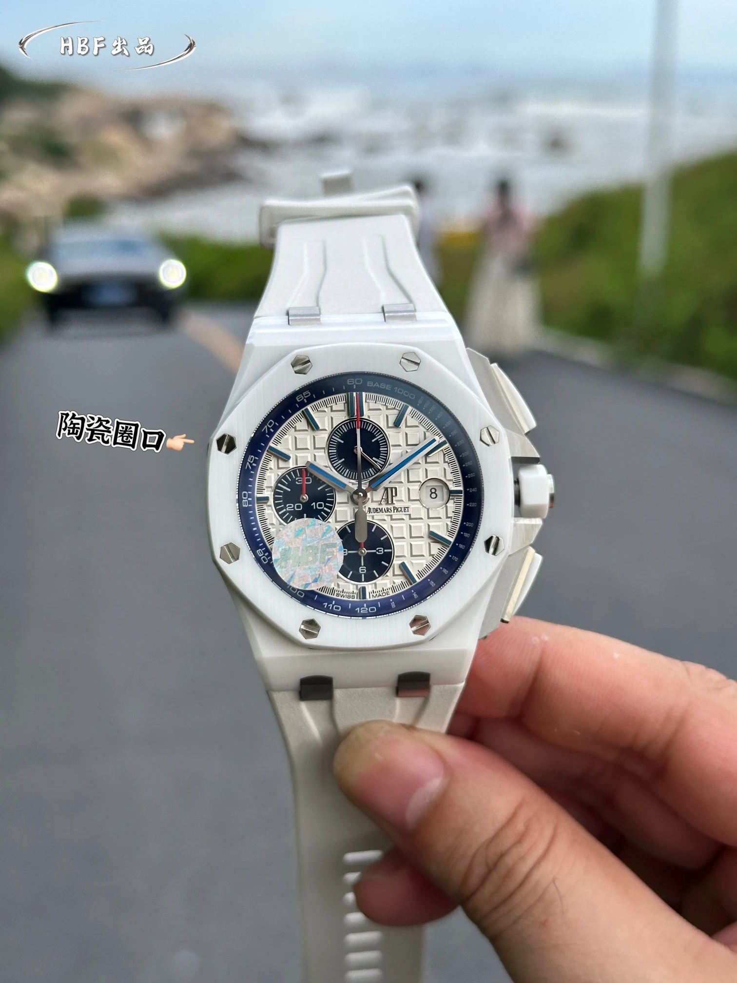 Audemars Piguet Watch — 2196c44e