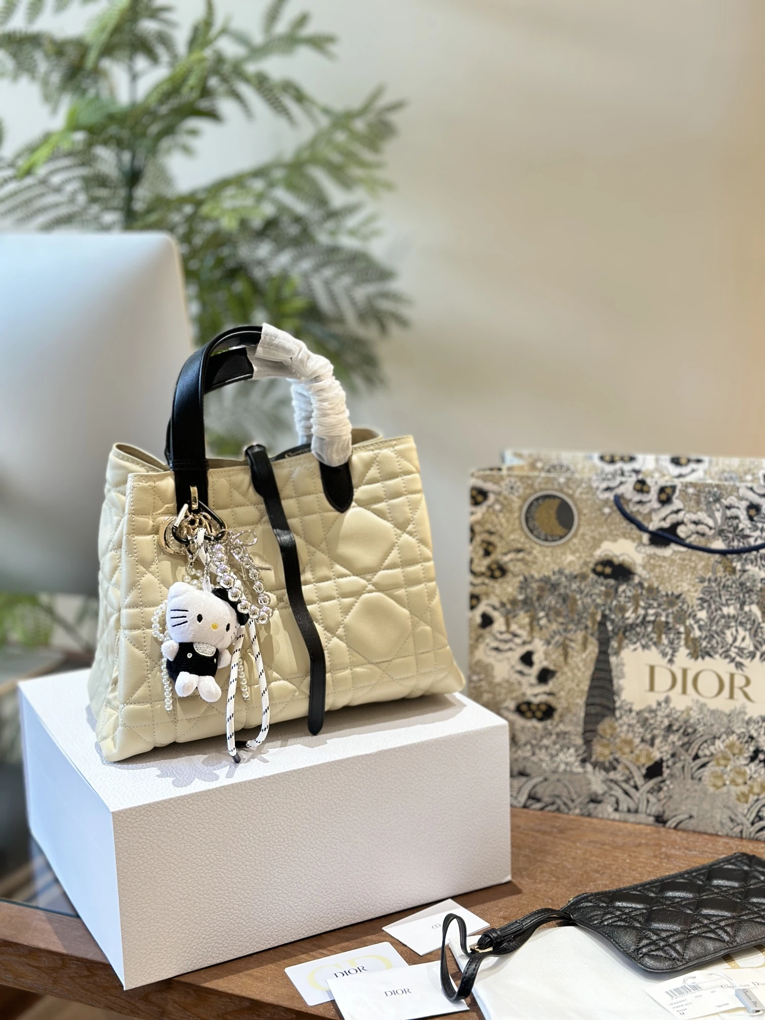 Dior Bag — d2c164b8