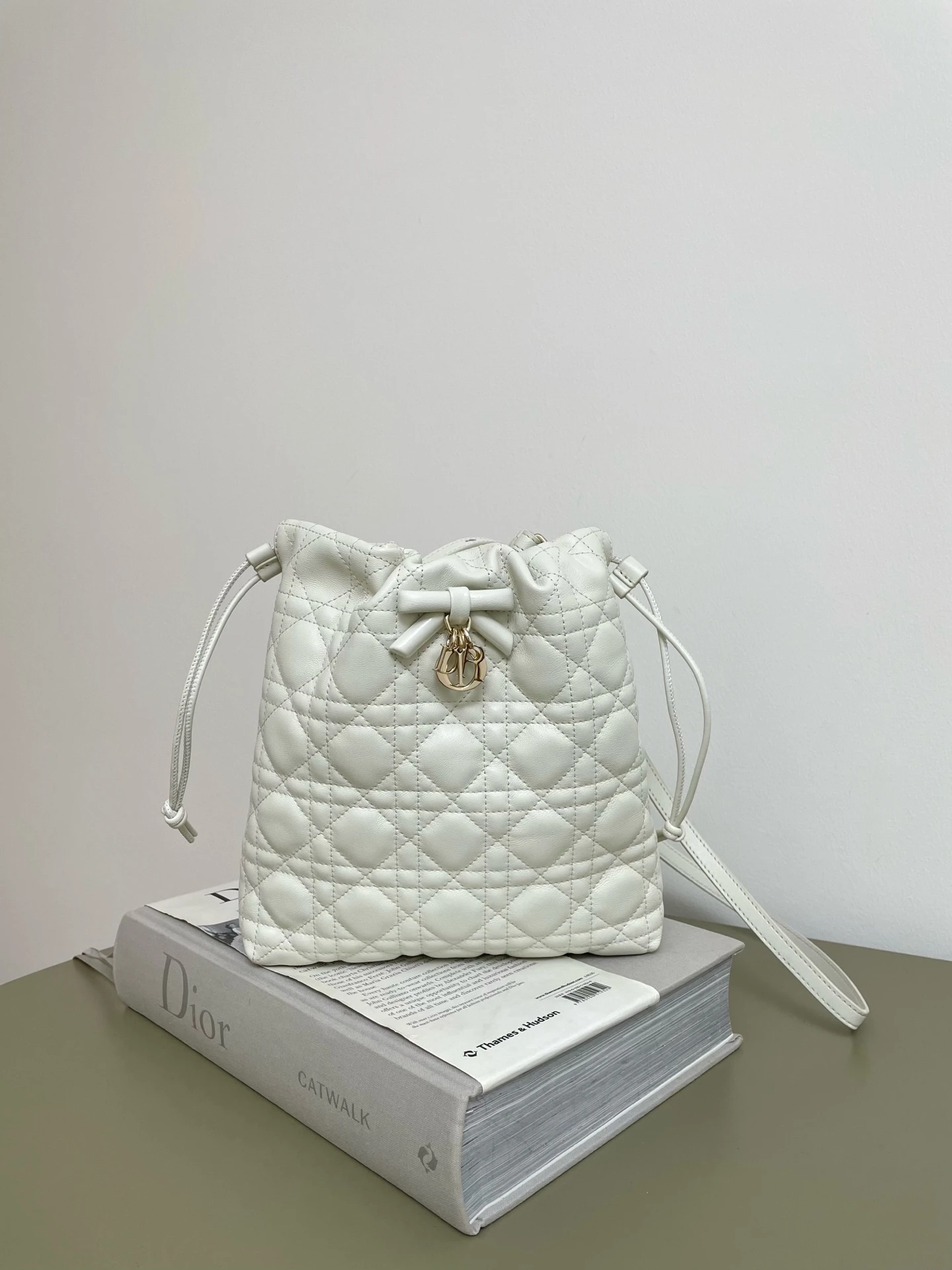Dior Bag — 03f1336c