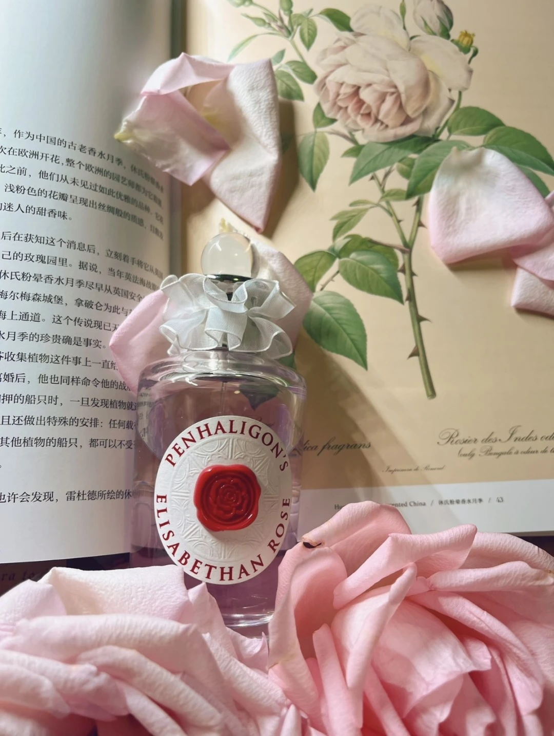 Fragrance — e4227efc