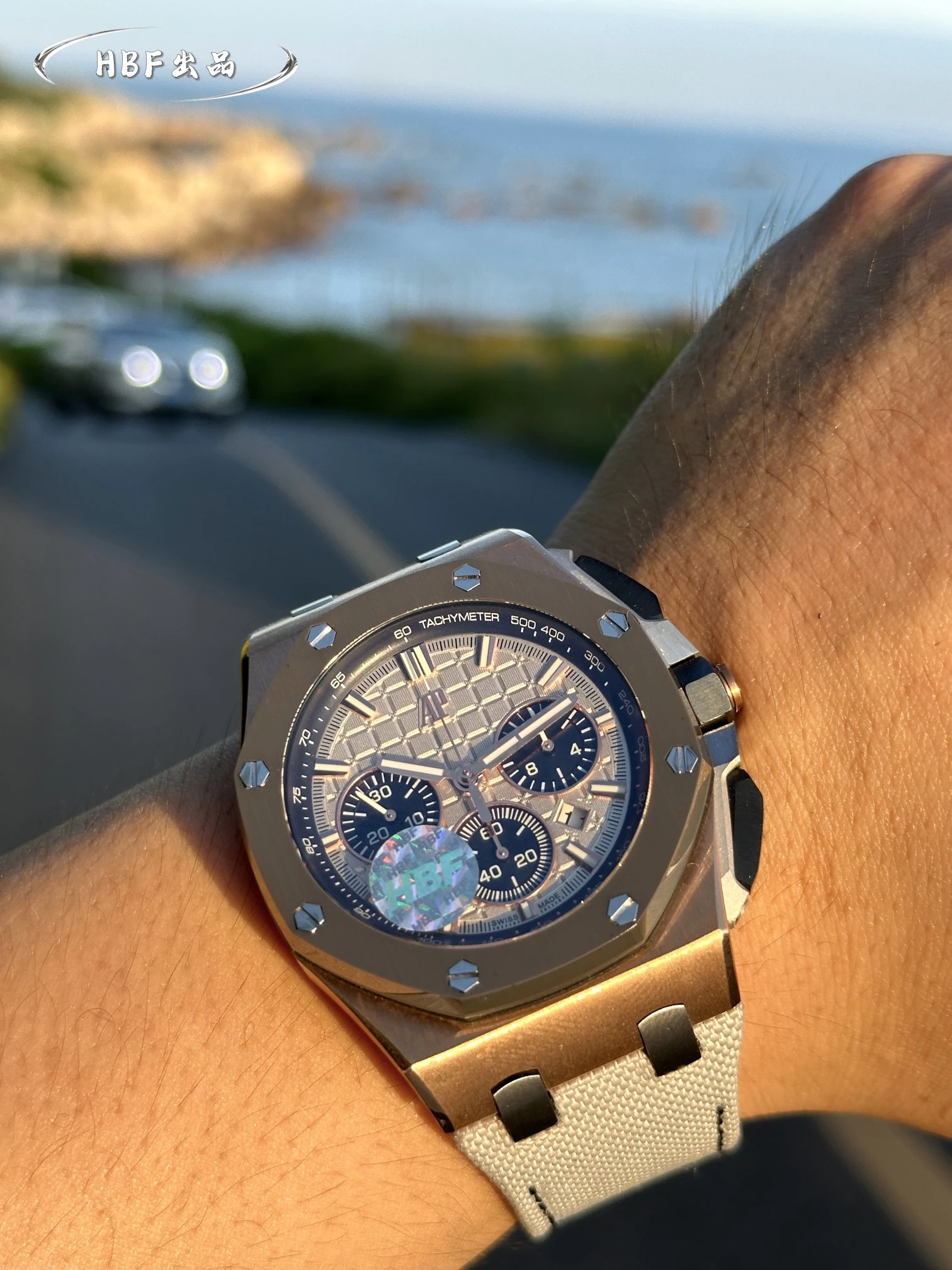 Audemars Piguet Watch — 8f9b9c53