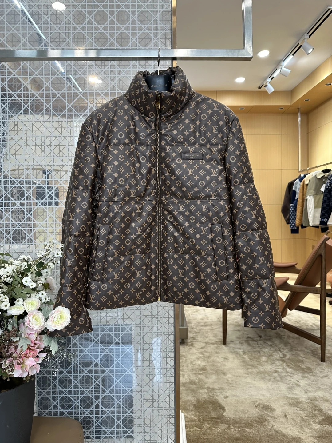 Louis Vuitton Down Jacket — d8c2d985