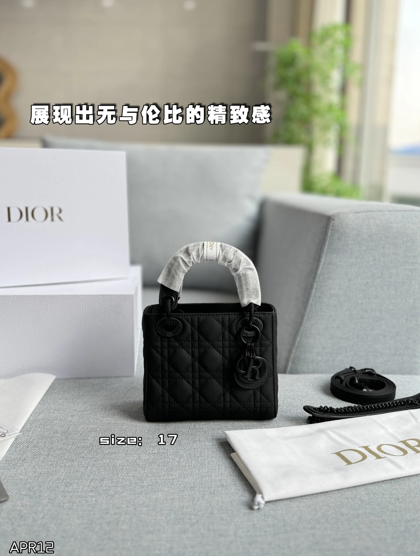 Dior Bag — 22358489