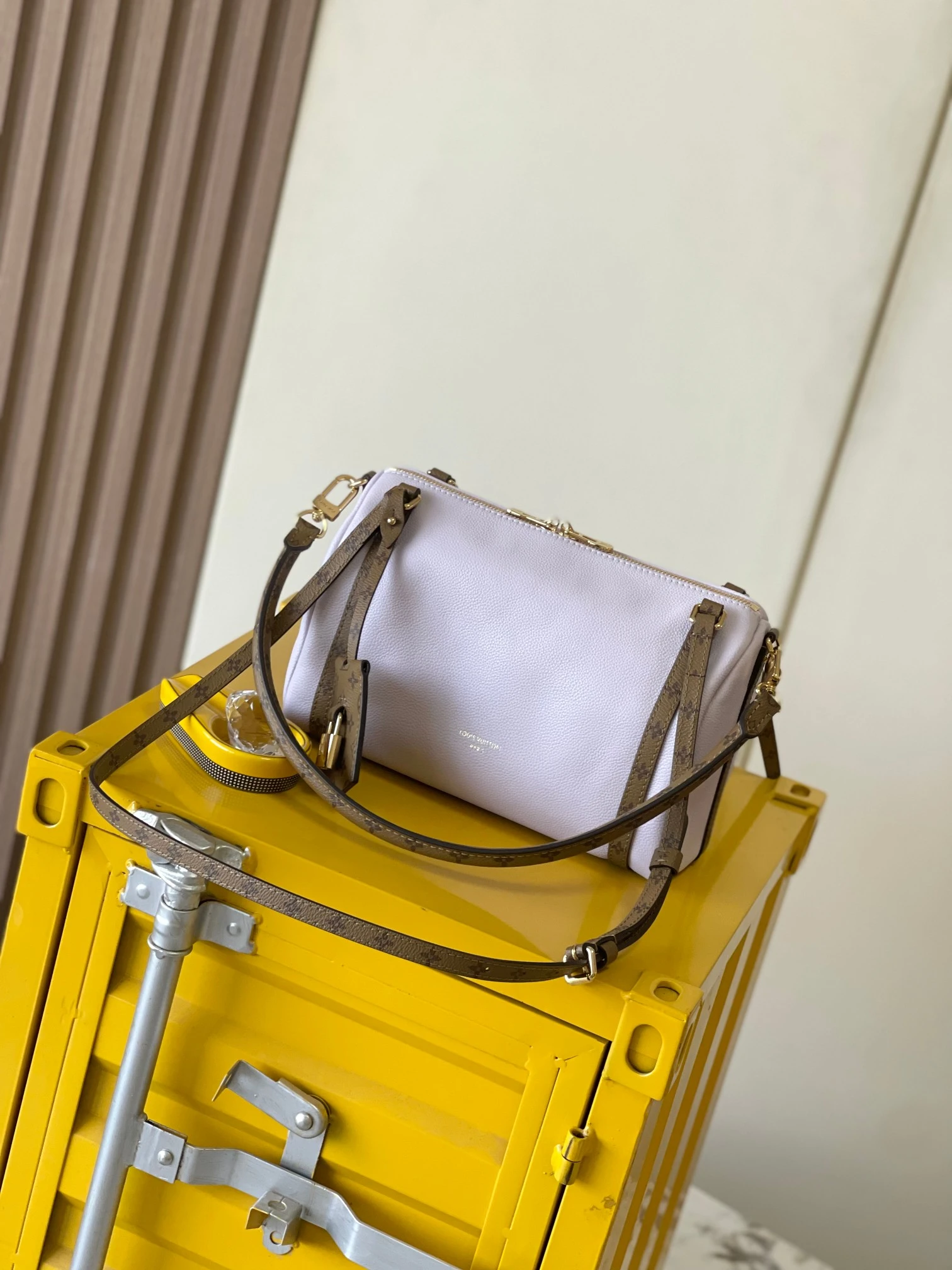 Louis Vuitton Bag — 5b03896b