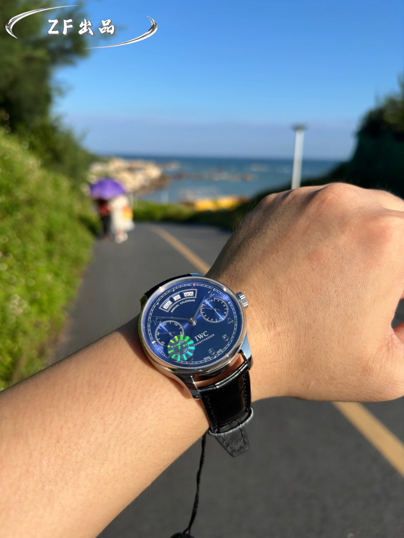 IWC Watch — 79a2d0f2