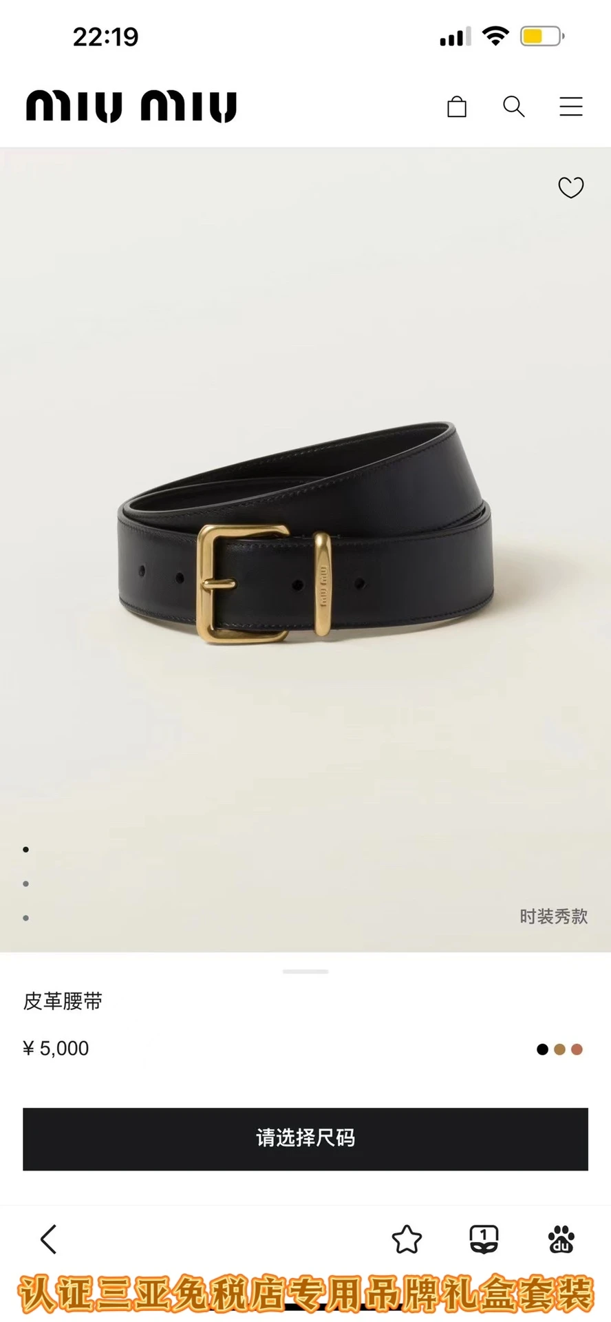 Miu Miu Belt — dd6394e9