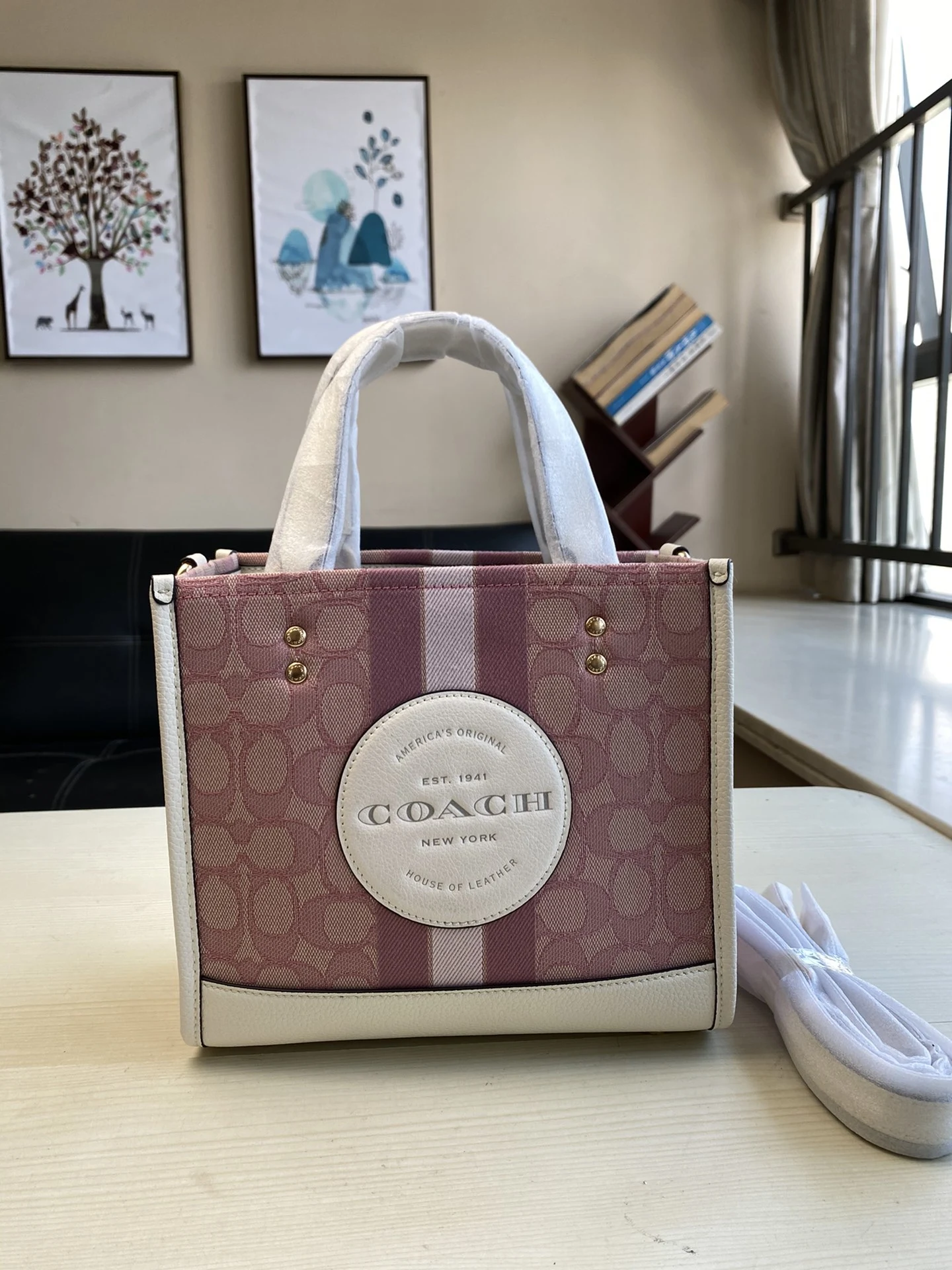 Coach Bag — 3d19dba4