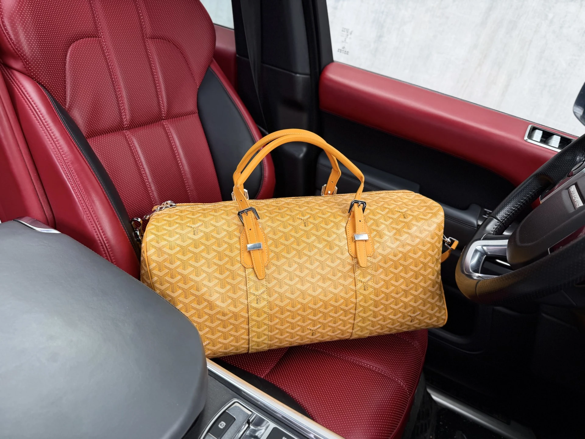 Goyard Bag — 2d81aadb