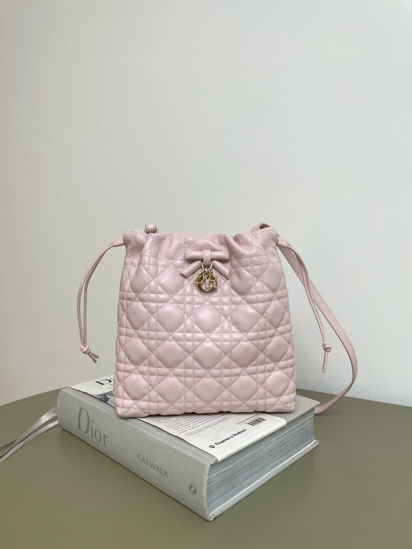 Dior Bag — f59dcfc2