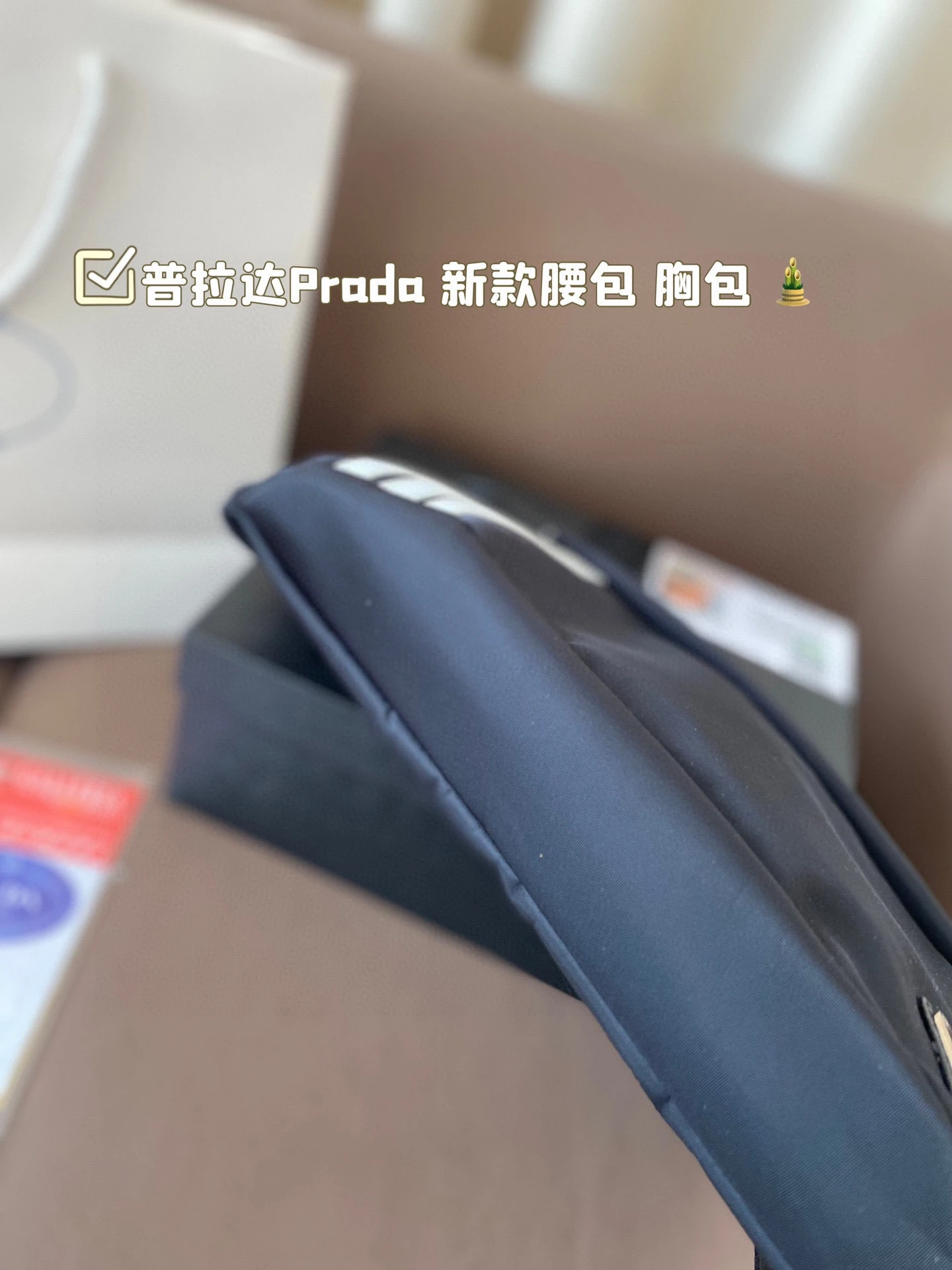 Prada Bag — a25a3fef