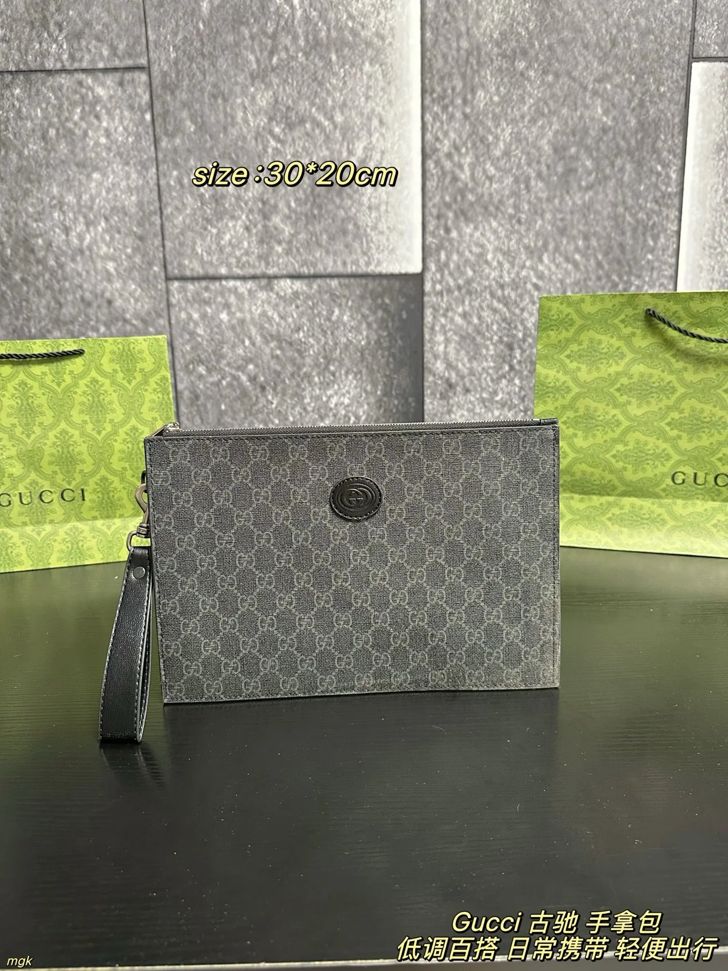 Gucci Bag — ae009262