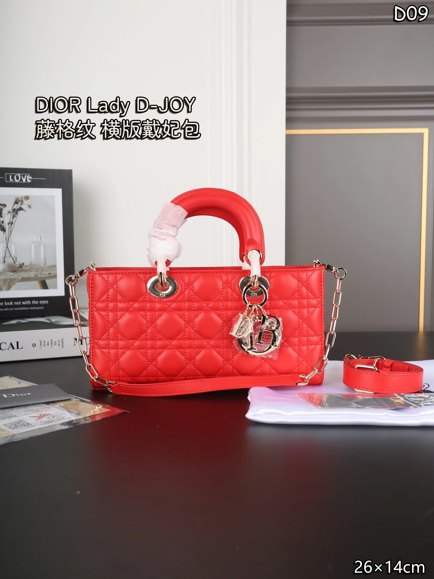 Dior Bag — ef9053a8