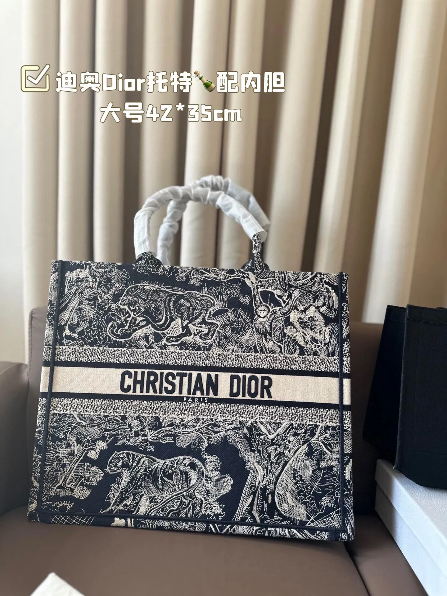 Dior Bag — d26415ee
