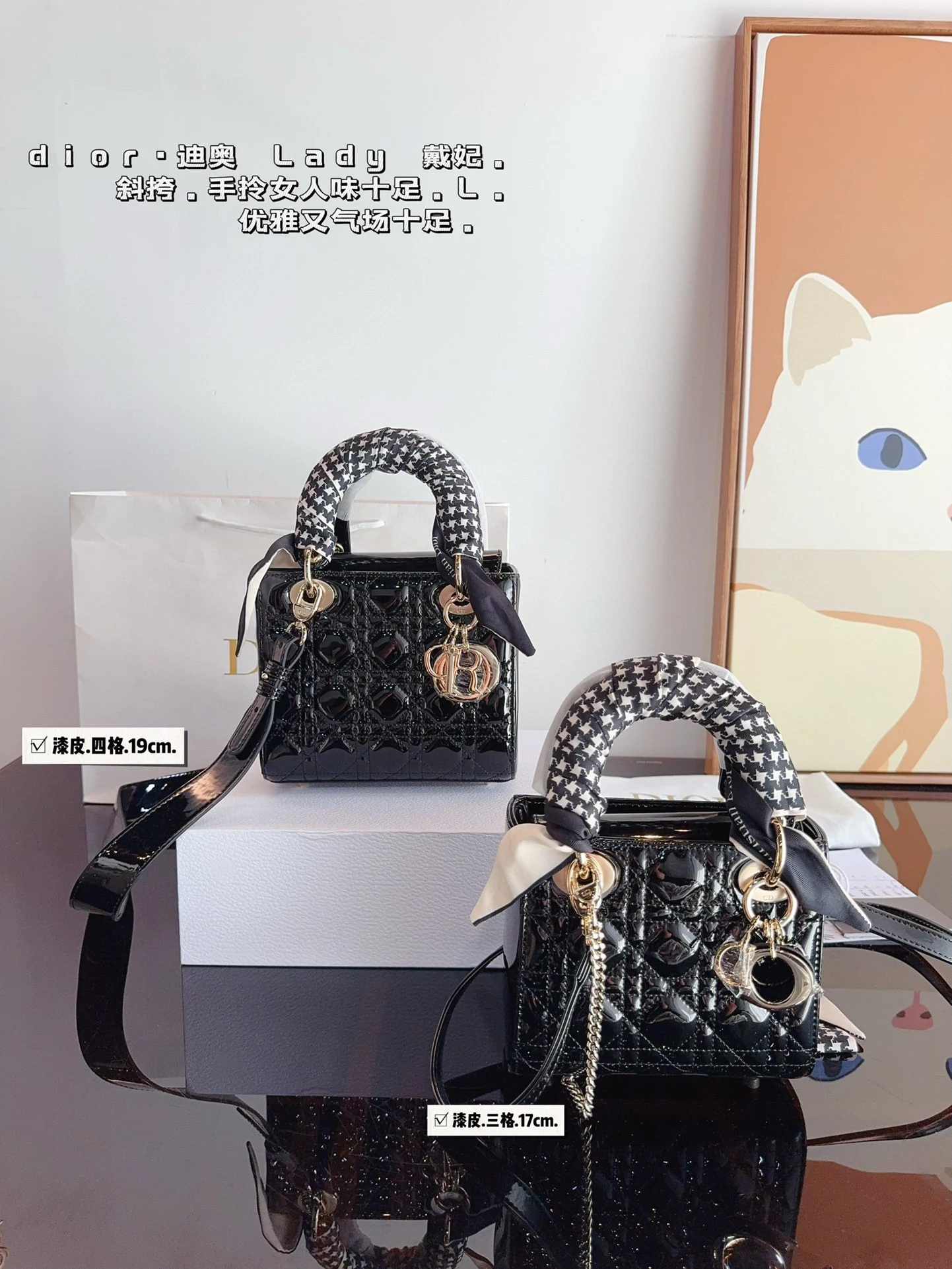 Dior Bag — 5013700b