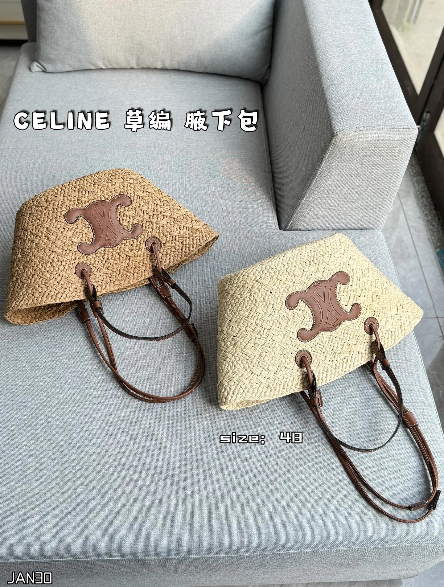 Celine Bag — 86fcee83