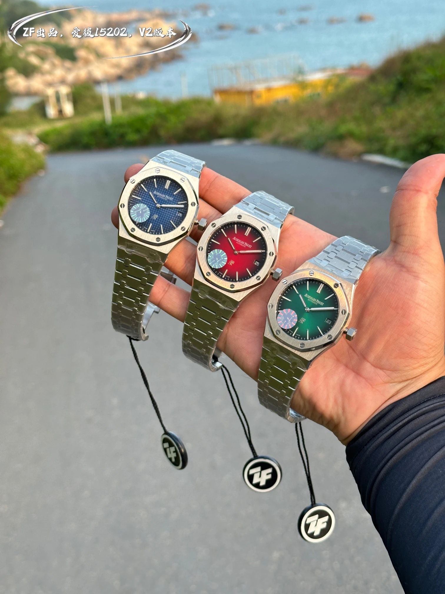 Audemars Piguet Watch — 0be705bc