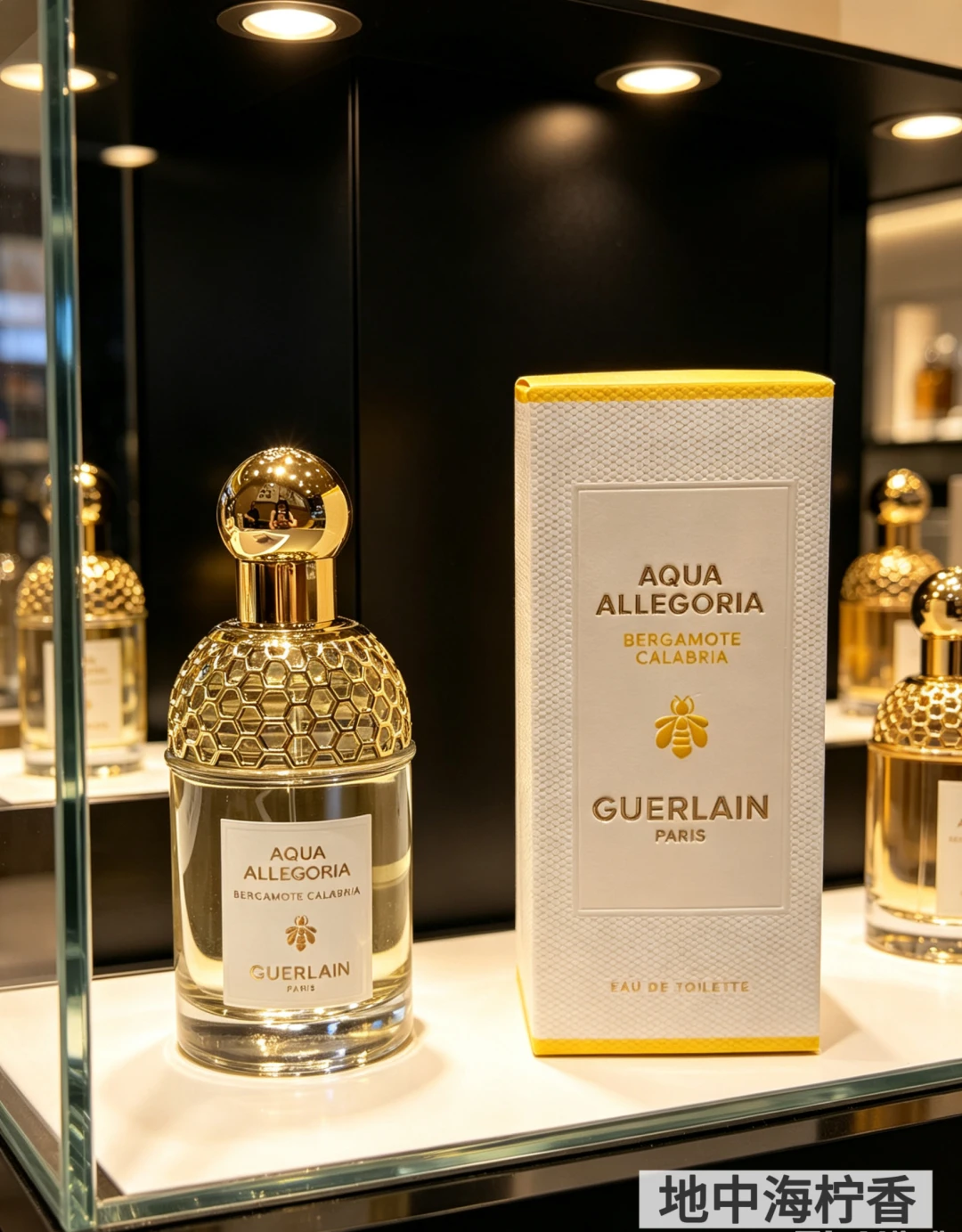 Fragrance — e9b96020