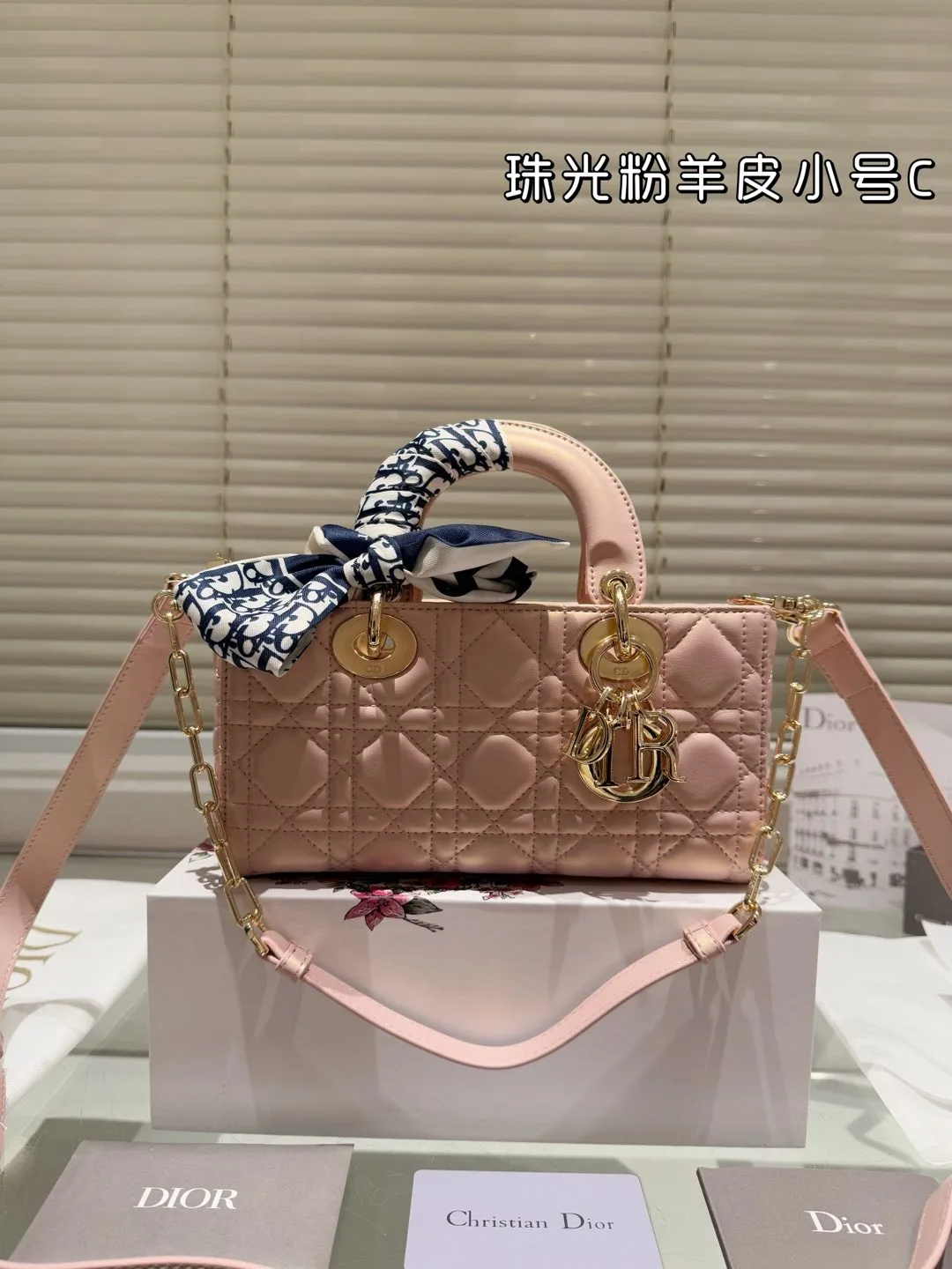 Dior Bag — fa69e7a3