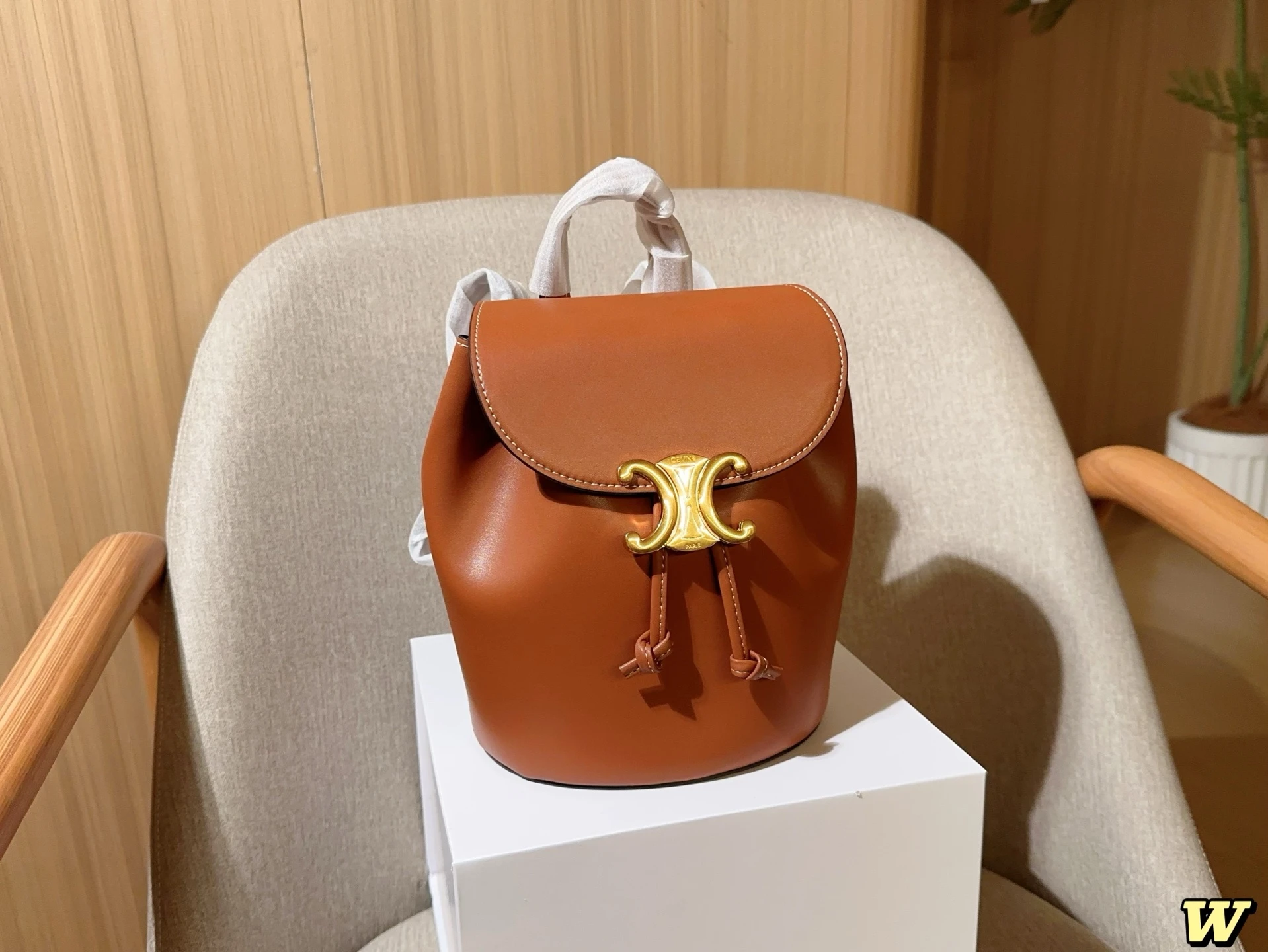 Celine Bag — ba520230