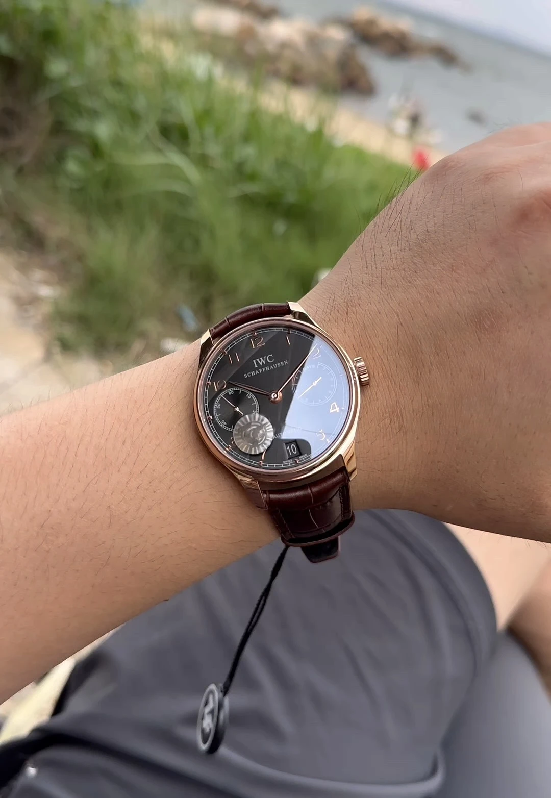IWC Watch — 1b9ef069